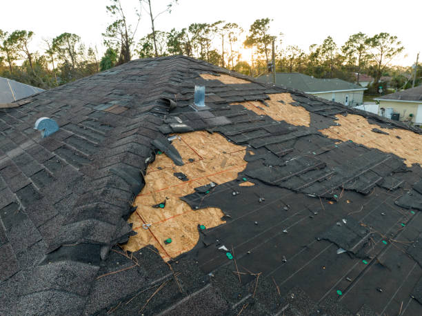Roof Insulation in Northampton, PA